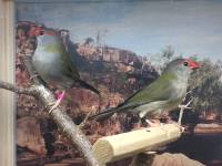 Foto 12.05.19, 20 33 30_1