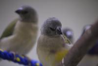 IMG_7205