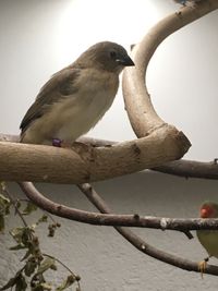 Foto 01.11.20, 20 14 51