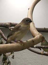 Foto 01.11.20, 20 14 55