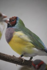 IMG_8744