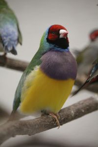 IMG_8887